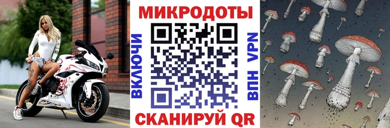 Псилоцибиновые грибы ЛСД  Закаменск 
