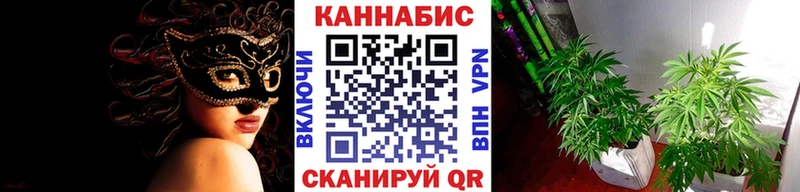 МАРИХУАНА план  Закаменск 